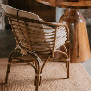 mobiliario-contract-sesion foto silla rattan nikita